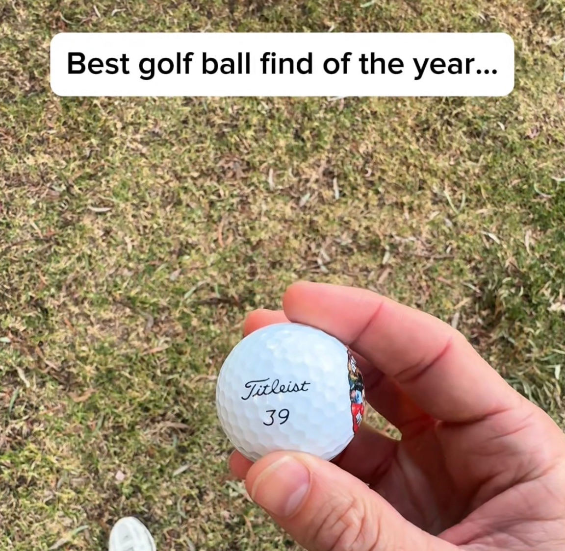 Democracy Manifest Golf Balls